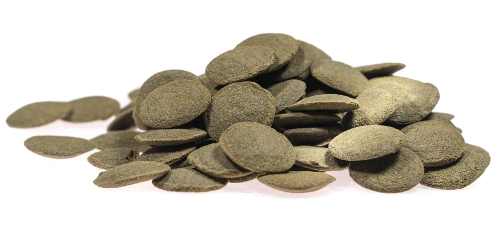 TROPICAL GREEN ALGAE WAFERS 500ML DLA GLONOJADÓW